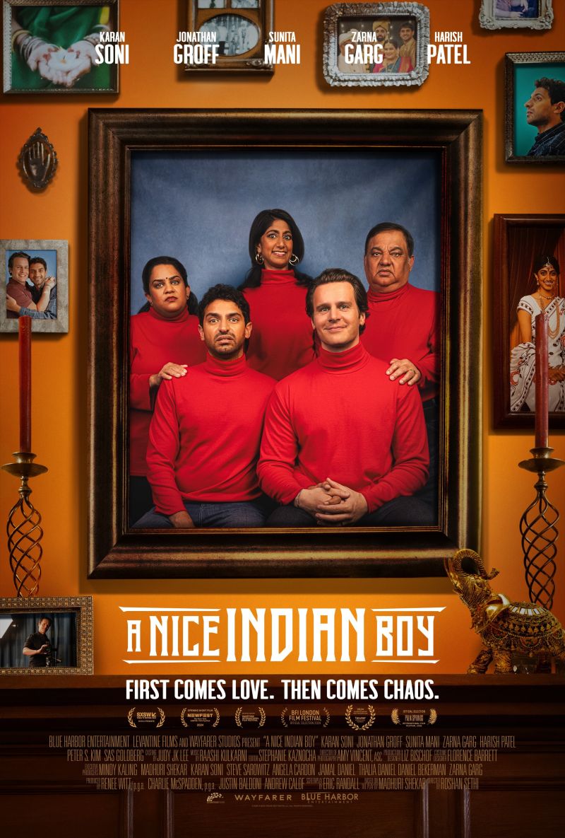 aniceindianboy poster